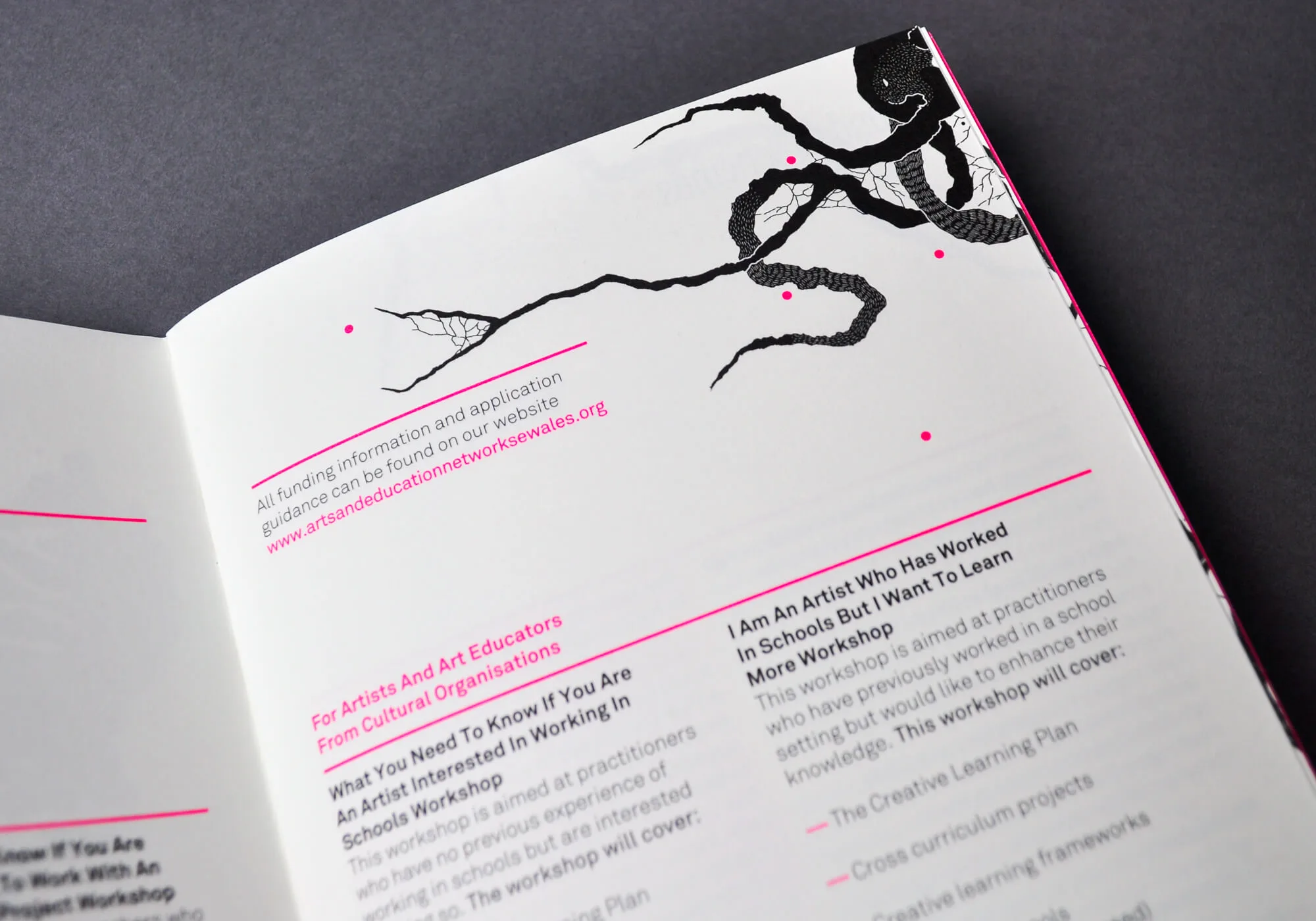 Arts & Education Network