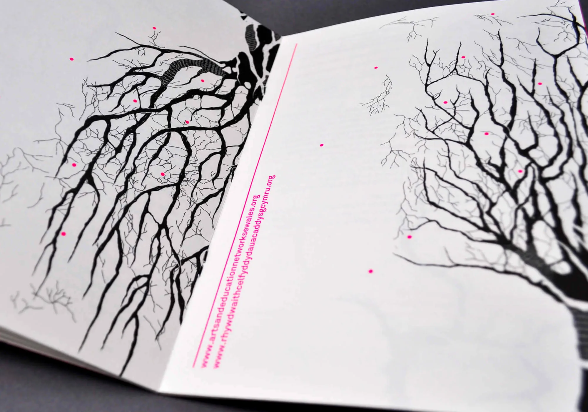 Arts & Education Network