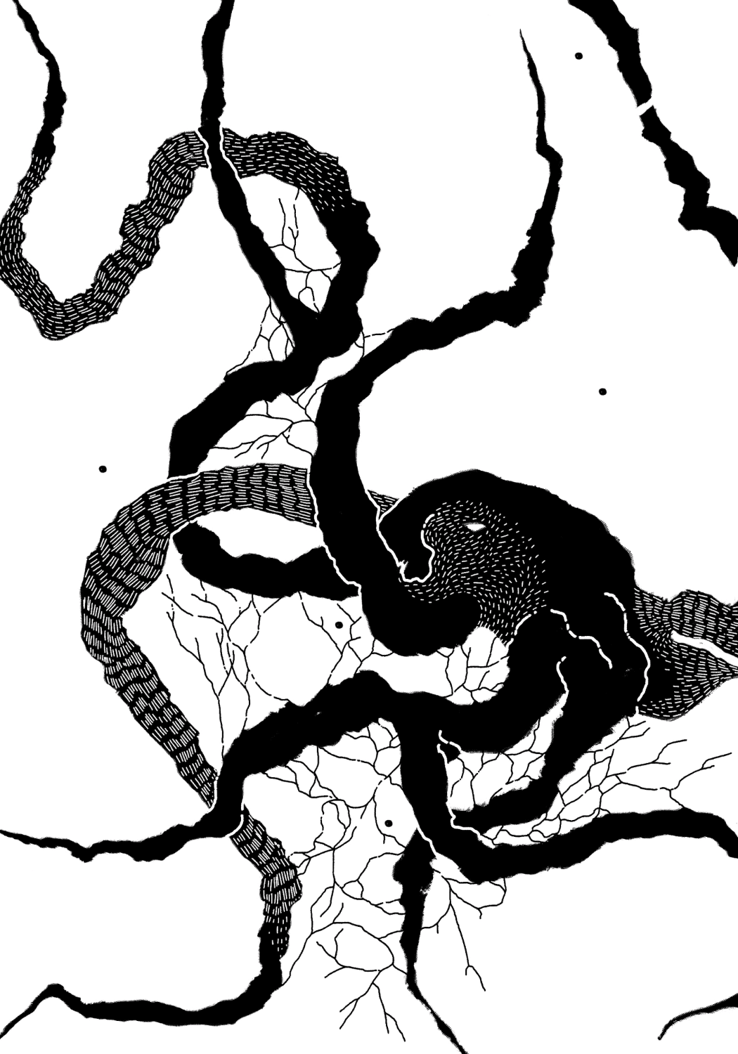 Arts & Education Network