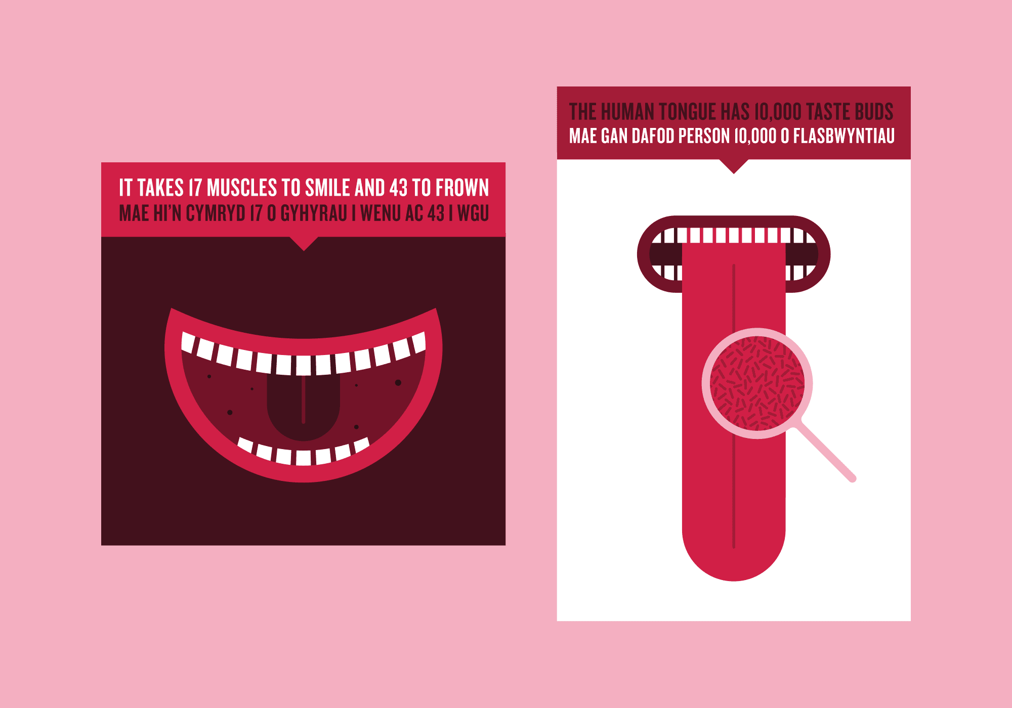 Aneurin Bevan NHS Trust